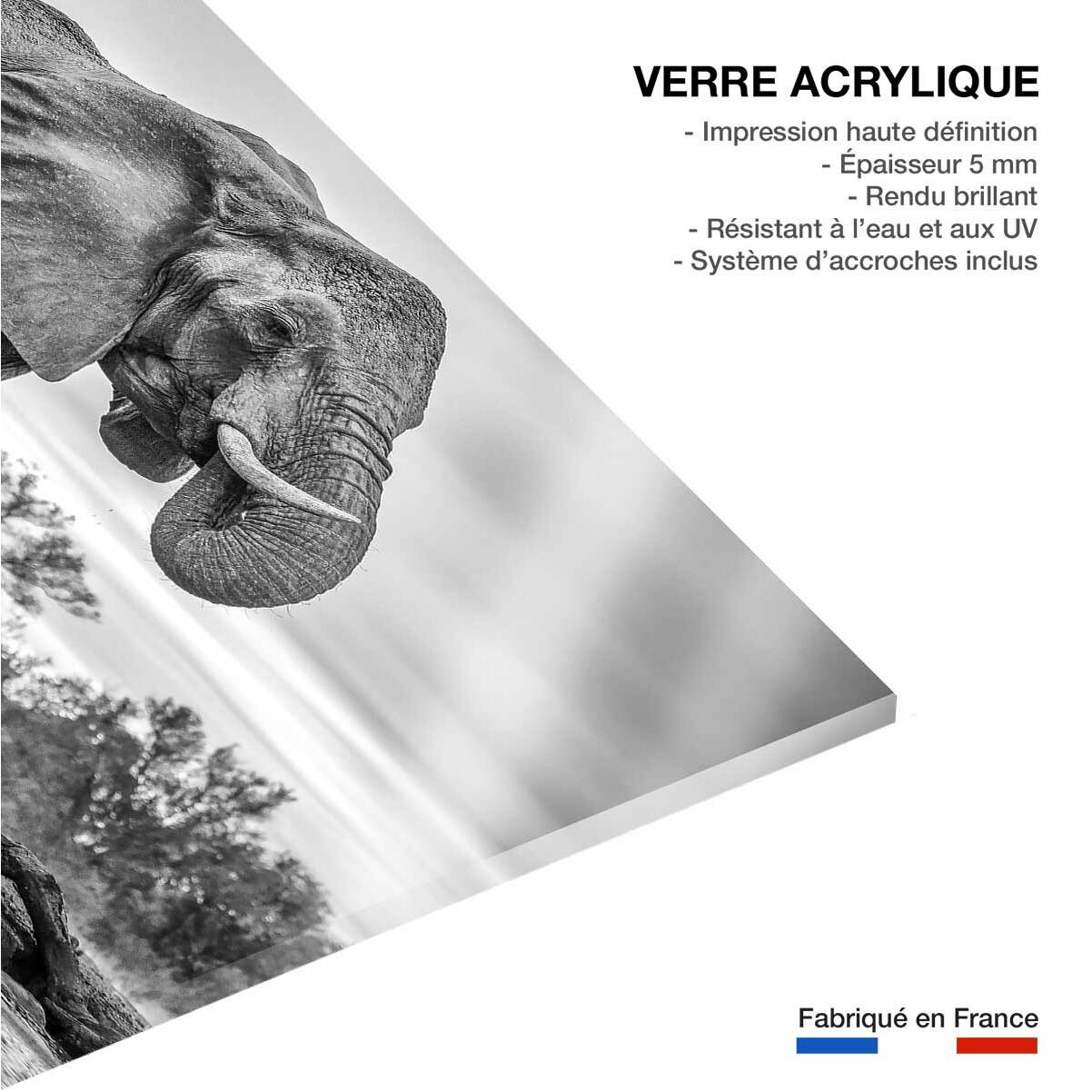 Tableau animaux standing proud Tableau plexiglas