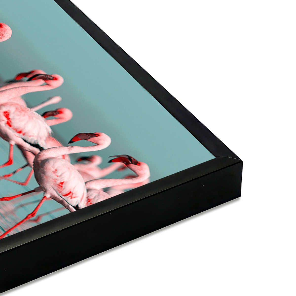 Affiche encadrée flamants roses en groupe Affiche + cadre en métal - Noir