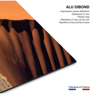 Tableau L'arbre sur la dune, Namibie Tableau alu Dibond