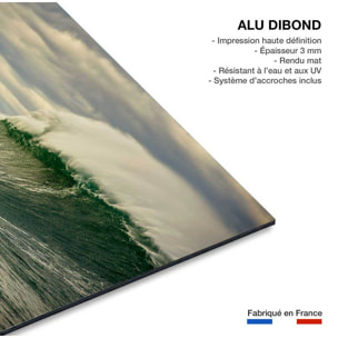 Tableau Tableau photo belharra vague Tableau alu Dibond
