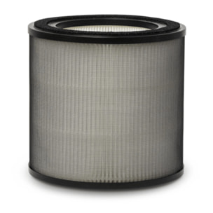 AEG Filtro de protección contra olores y gases Filtro para Multi 7000 AFFBTH2