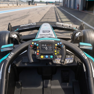 AIYAPLAY Kart Eléctrico para Niños 12V Mercedes-AMG PETRONAS F1, Go Kart Mando a Distancia 2,4G, 2 Motores, Suspensión Trasera, Arranque Suave, 3,3-5,5km/h, Luces LED, Música, Claxon, 3-5 Años, Negro
