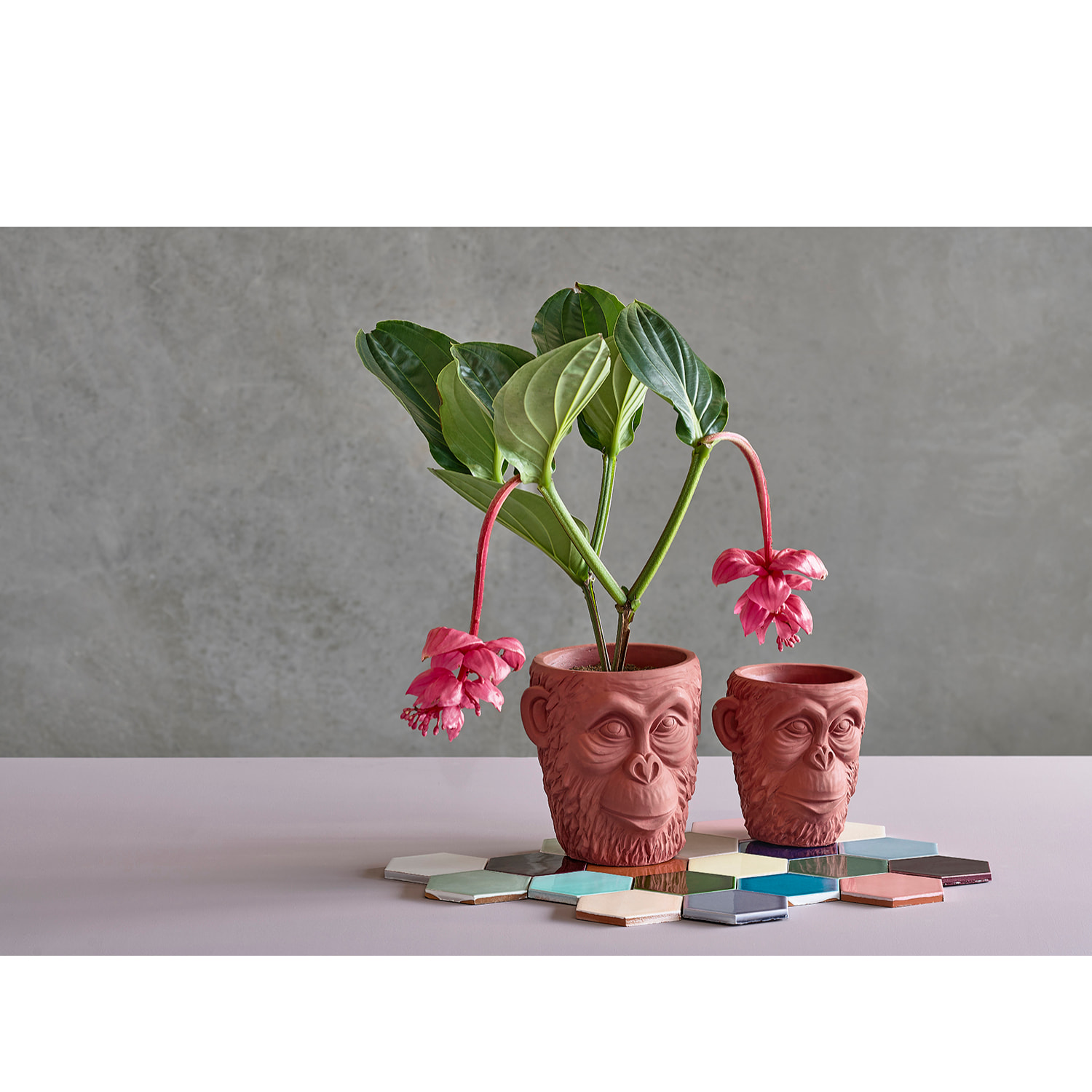 Pot de fleur Calbe