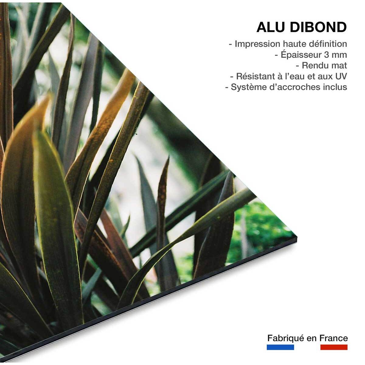 Tableau fleur de yucca et forêt tropicale Tableau alu Dibond