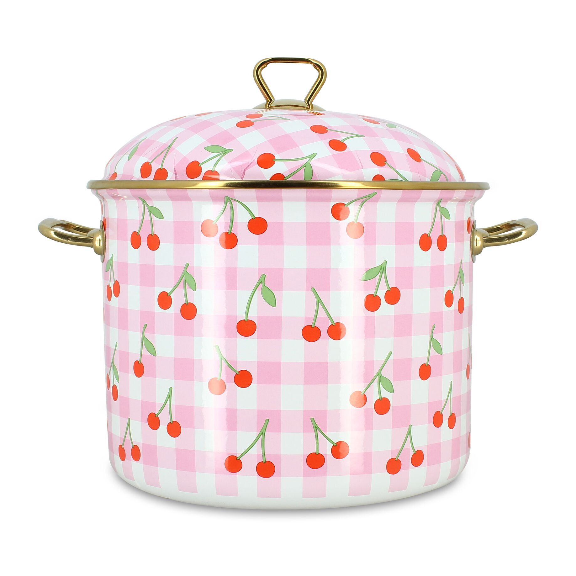 Marmite 24cm en acier émaillé avec motif cerise - tous feux VICHY
