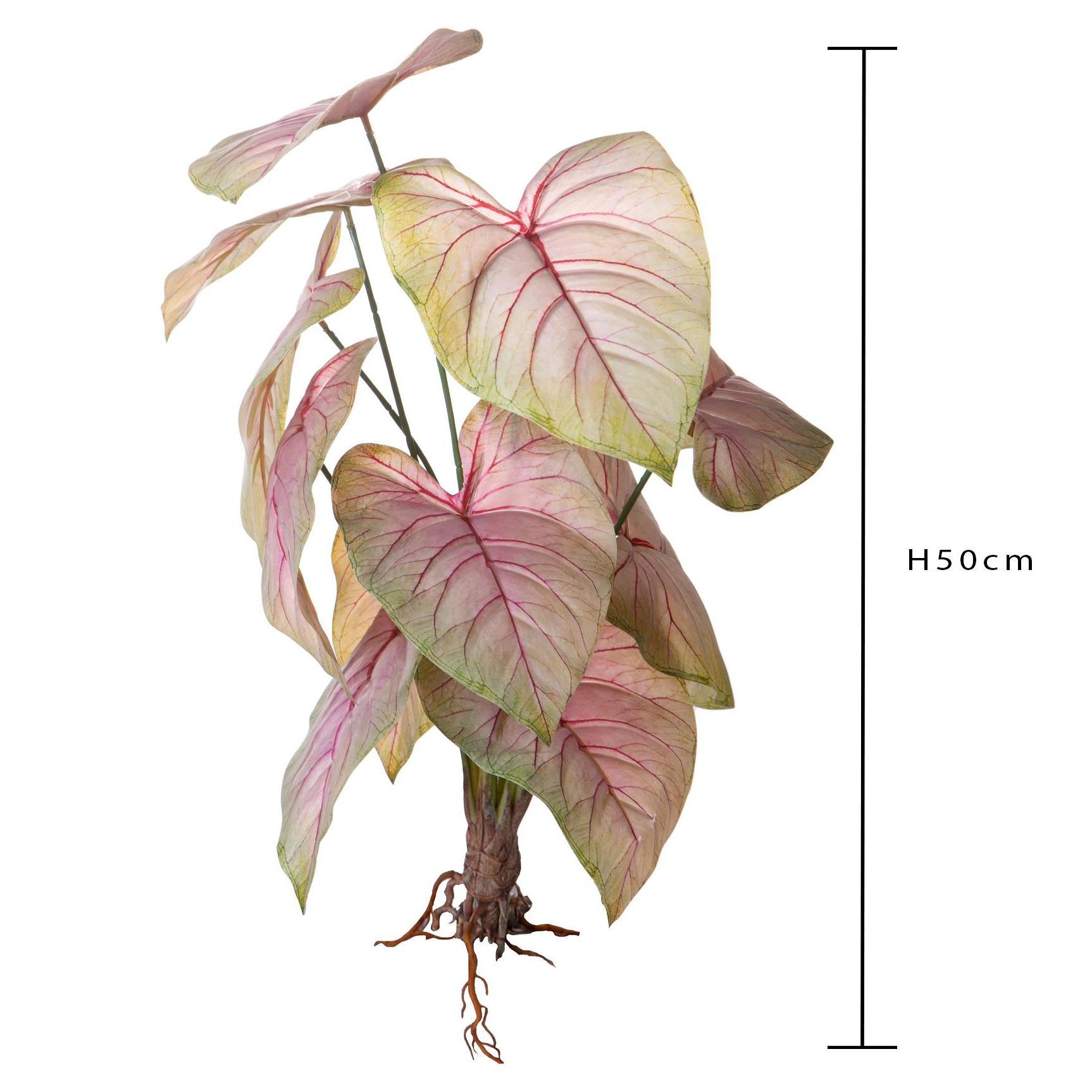 Caladium per 12 Foglie 50 Cm - Pezzi 2 - 18X50X15cm - Colore: Rosa - Bianchi Dino - Piante Artificiali