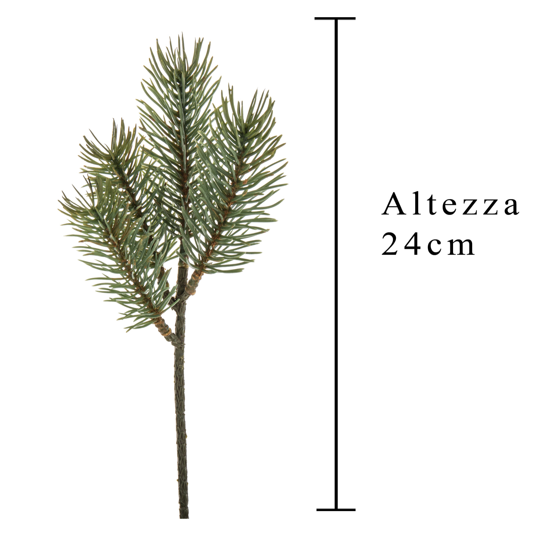 Abete pick - Pezzi 48 - 8xH24x6cm - Bianchi Dino SpA