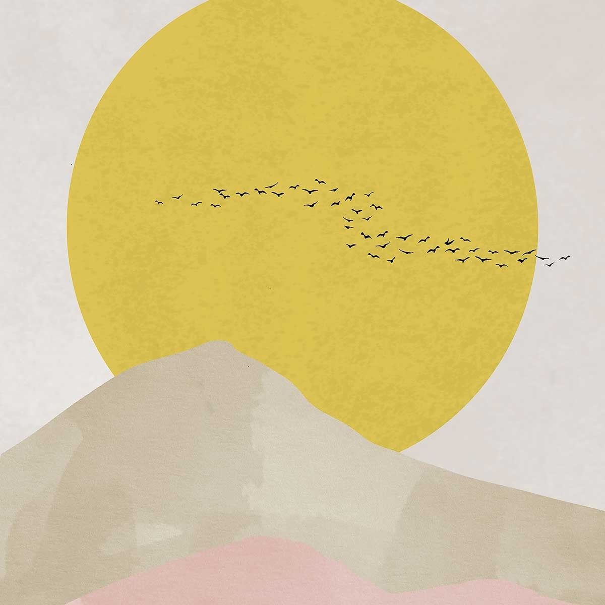 Affiche Envolée au soleil Affiche + cadre en bois - Chêne