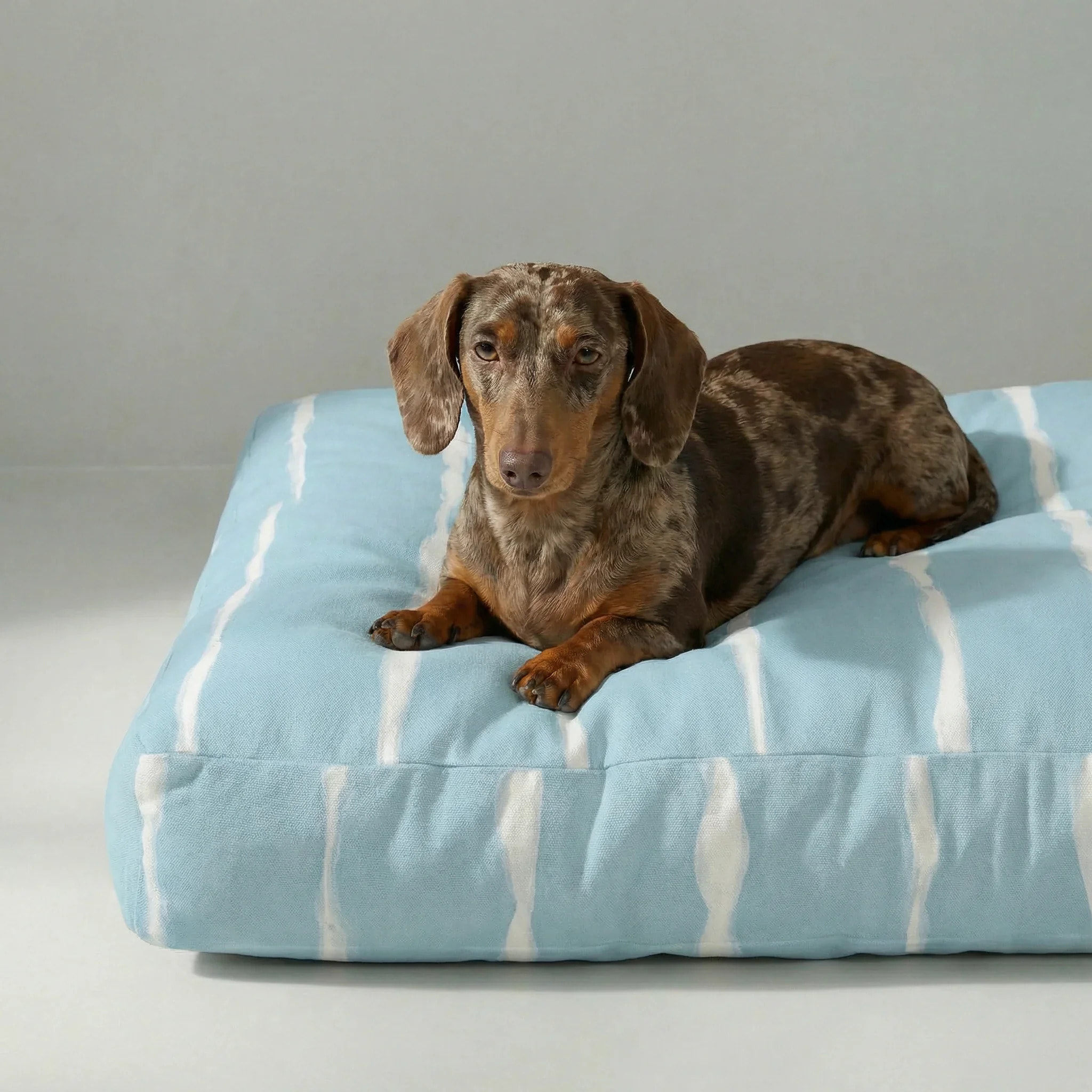 Lit pour animaux antitaches Vera