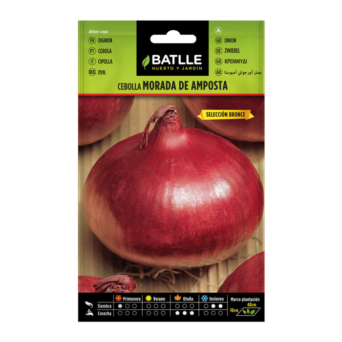 Semillas de Cebolla morada de Amposta sel. Bronce Batlle