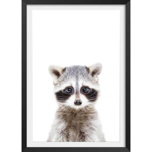 Affiche enfant bébé raton laveur  Affiche + cadre en bois - Noir