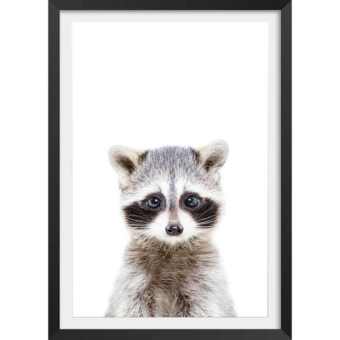 Affiche enfant bébé raton laveur  Affiche + cadre en bois - Noir