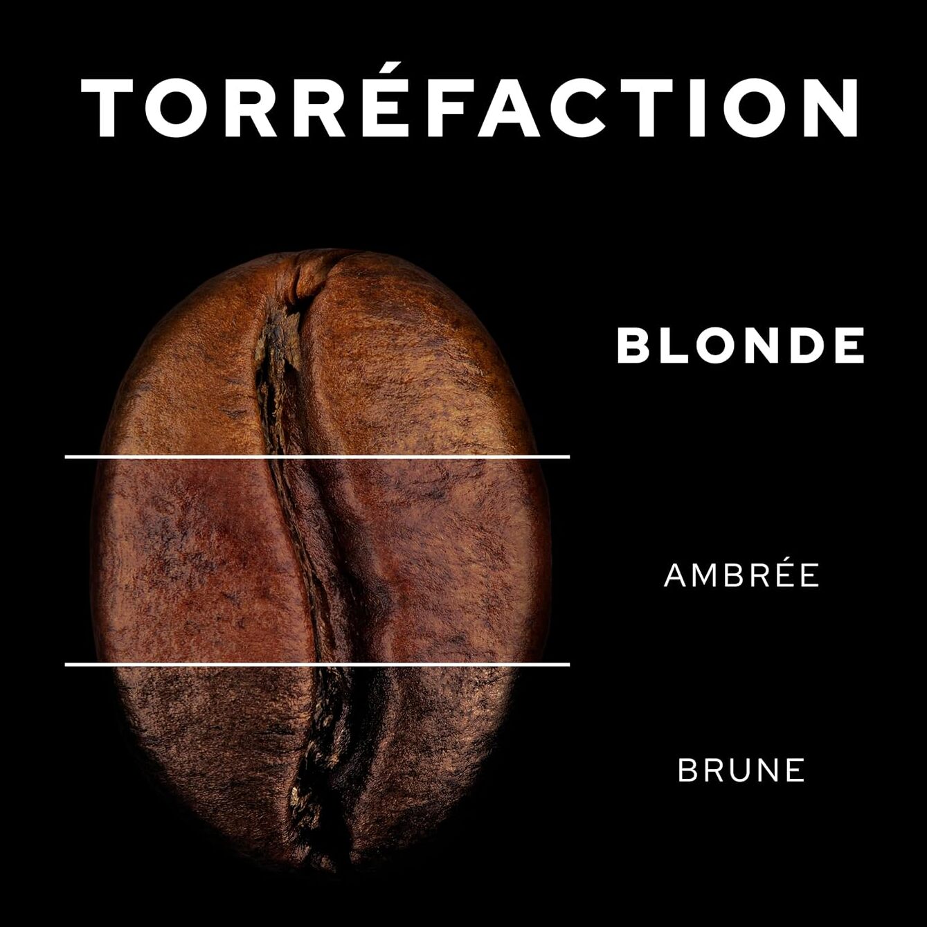 Café Grains Honduras Bio 900G