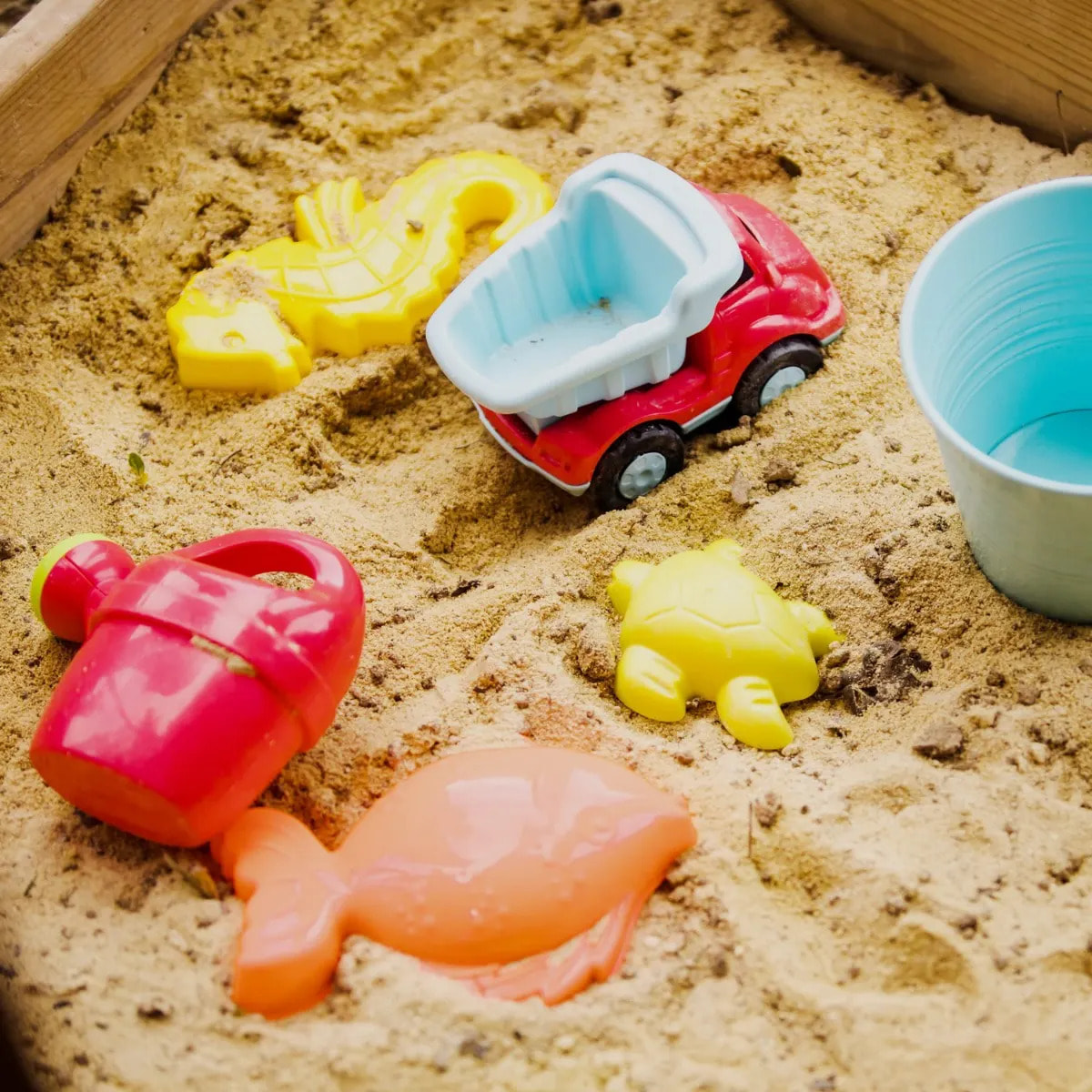 Tour de jeux bois SUNNY XPERIENCE - 5 enfants