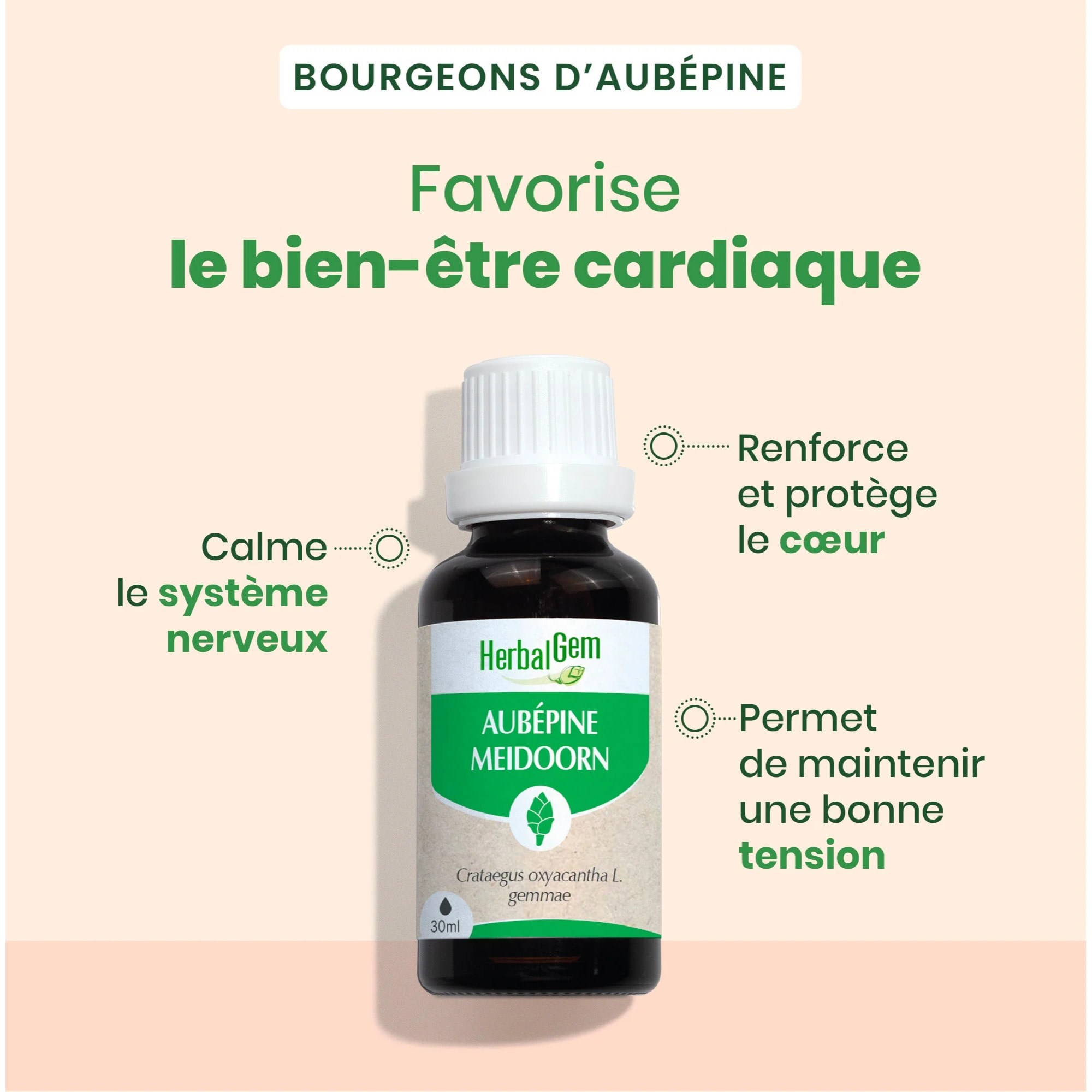 Herbalgem- Bourgeon d'Aubépine - Bio - 30 ml