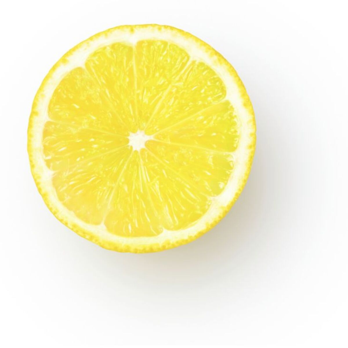 Presse-agrumes SAGE APPLIANCES the Citrus Press Pro