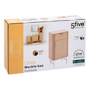 Meuble bas de salle de bain 1 porte