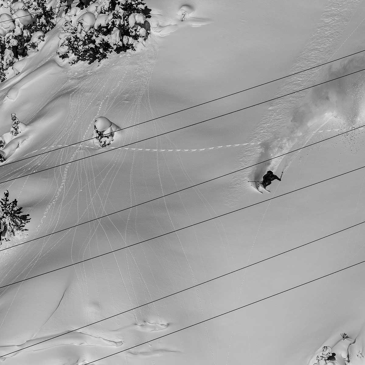 Tableau noir et blanc traces snowpowder Tableau plexiglas