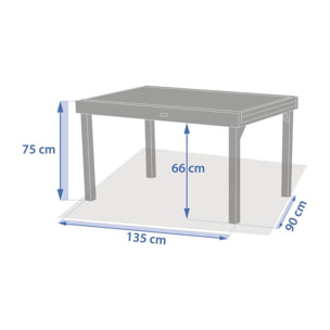 Table de jardin 10 places Piazza extensible café