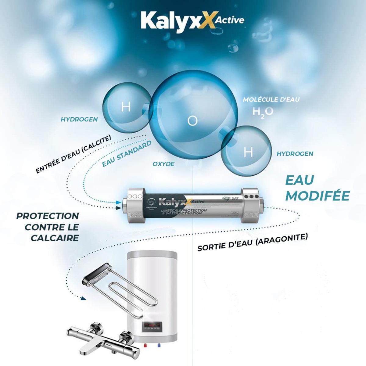 Réducteur de tartre, traitement de l'eau IPS KalyxX - G3/4 (IPSKXAG34)