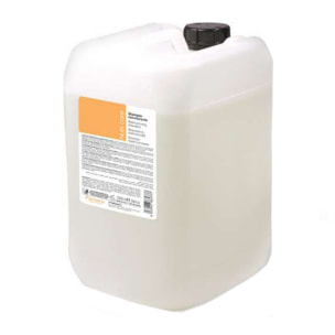 FANOLA Champú Reestructurante 10L