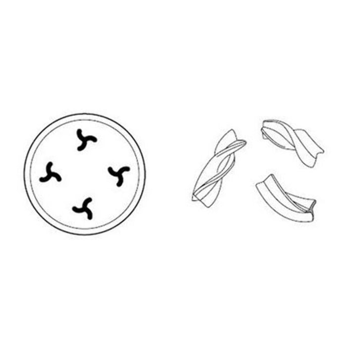 Filière KENWOOD AT910 010 Filière pour Fusilli