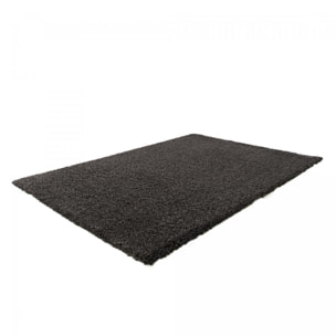 Tapis salon HINOU Noir 120x170 en polypropylène doux et soyeux
