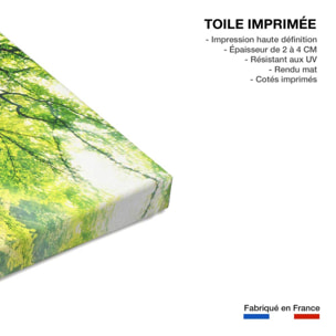 Tableau nature l 'hêtre de ponthus Toile imprimée