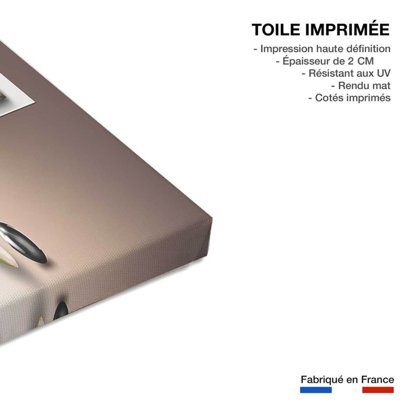 Tableau graphique fleurs d'orchidées - 80x50 cm Toile imprimée