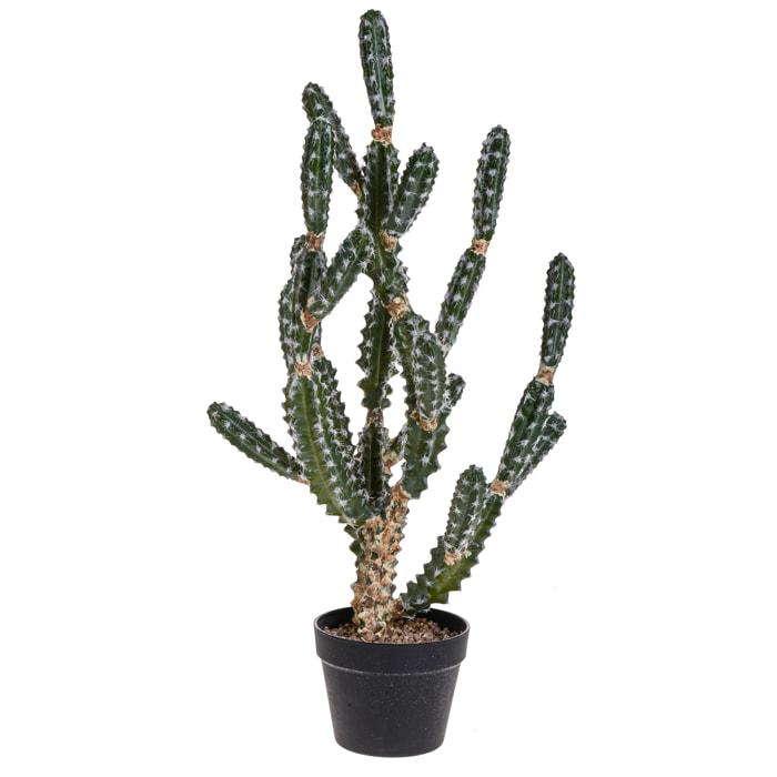 Cactus Euphorbia Con Vaso. Altezza 84 Cm - Pezzi 1 - 30X84X30cm - Colore: Altro - Bianchi Dino - Piante Artificiali