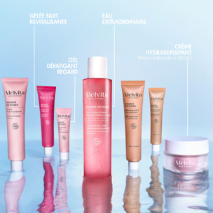 Source de Roses - Gelée Nuit Revitalisante Bio 40 ml