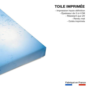 Tableau poisson carangue Toile imprimée