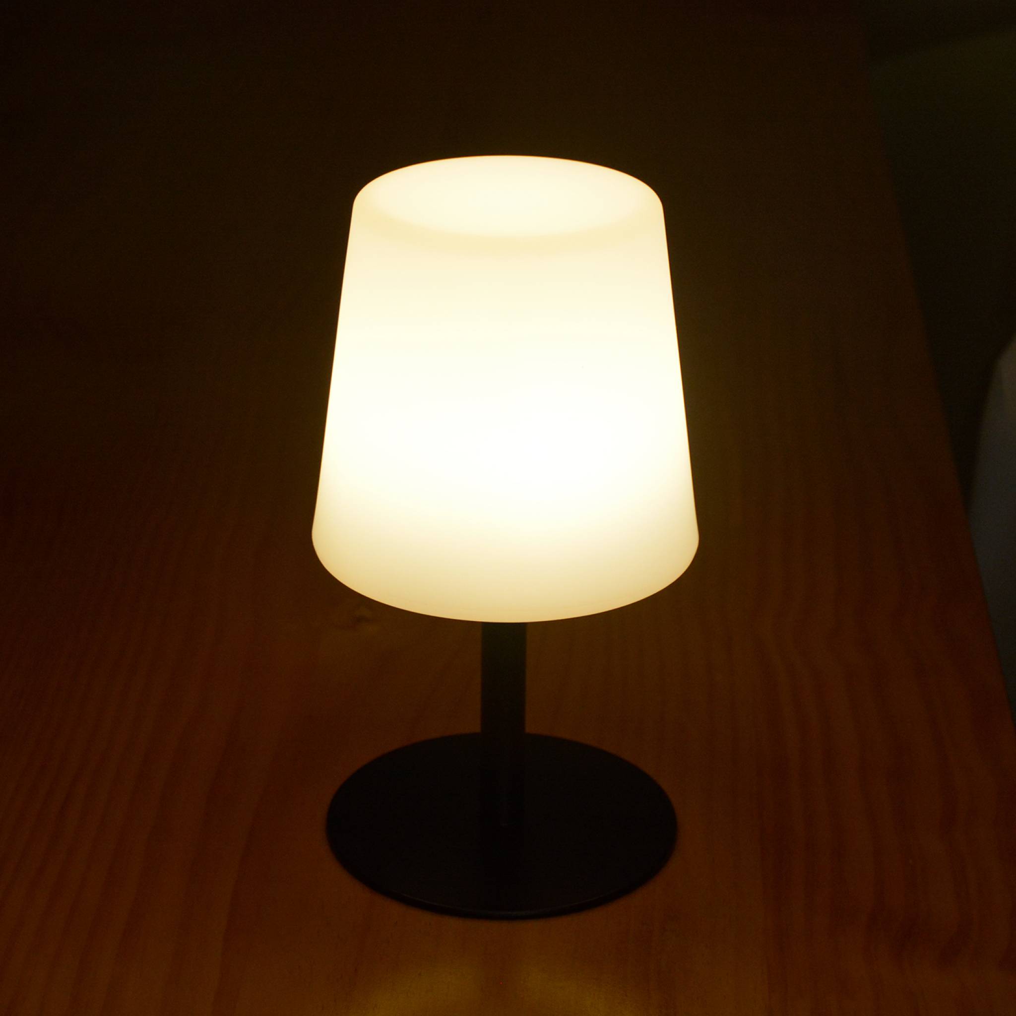 Lot de 2 lampes LED à poser de 28cm noire - Lampes de table décorative lumineuse. Ø 16cm