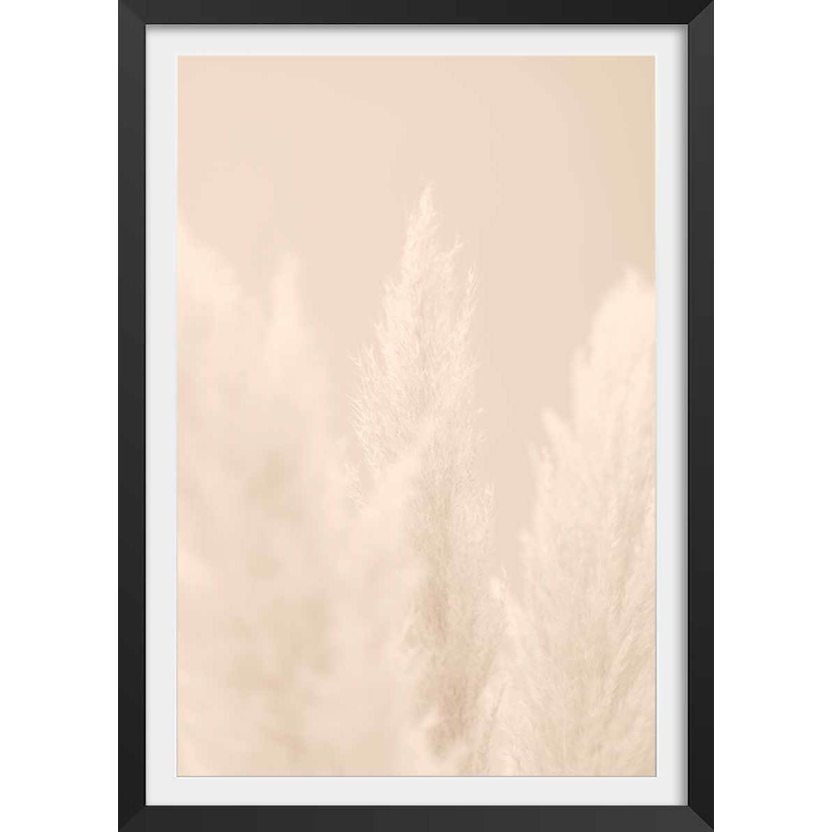 Affiche  scandi  de roseaux Affiche + cadre en bois - Noir