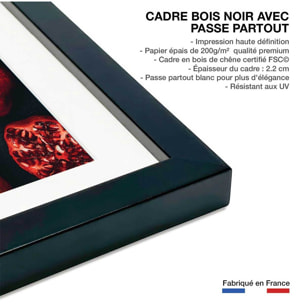 Affiche collection gros plan sur la grenade Affiche sous cadre noir