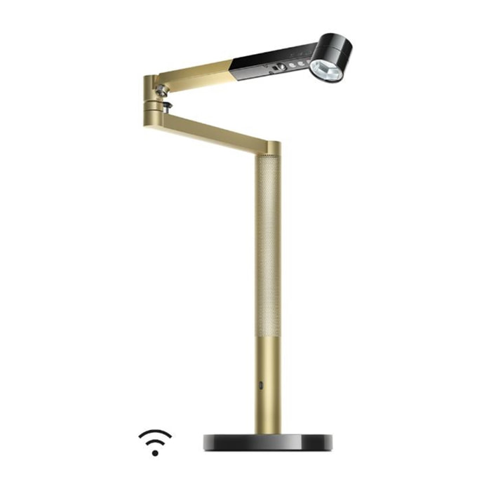 Lampe de bureau Dyson Solarcycle Morph (Noir/Cuivre)