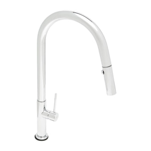 mitigeur monocommande avec douchette extractible et bras pivotant, 2 jets, Chrome (SATBSD288)