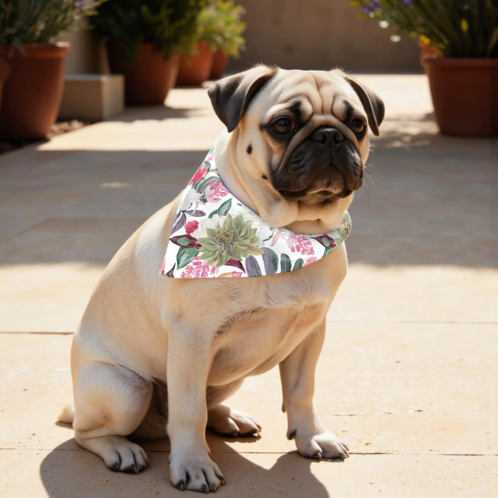 Pack de 2 bandanas pour animaux 0318-105