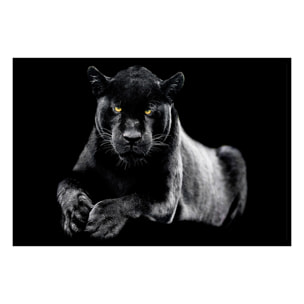 Affiche encadrée panthère noire Affiche + cadre en métal - Noir