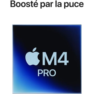 Ordinateur Apple MAC MINI Puce M4 Pro CPU 12 / GPU 16 coeurs Mémoire RAM 24Go Stockage 512Go SSD Argent