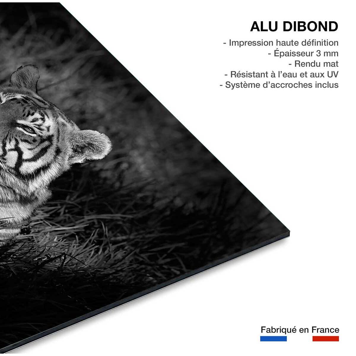 Tableau tigre Tableau alu Dibond