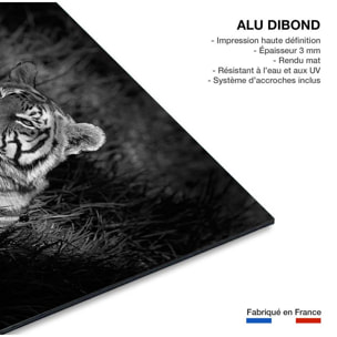 Tableau tigre Tableau alu Dibond
