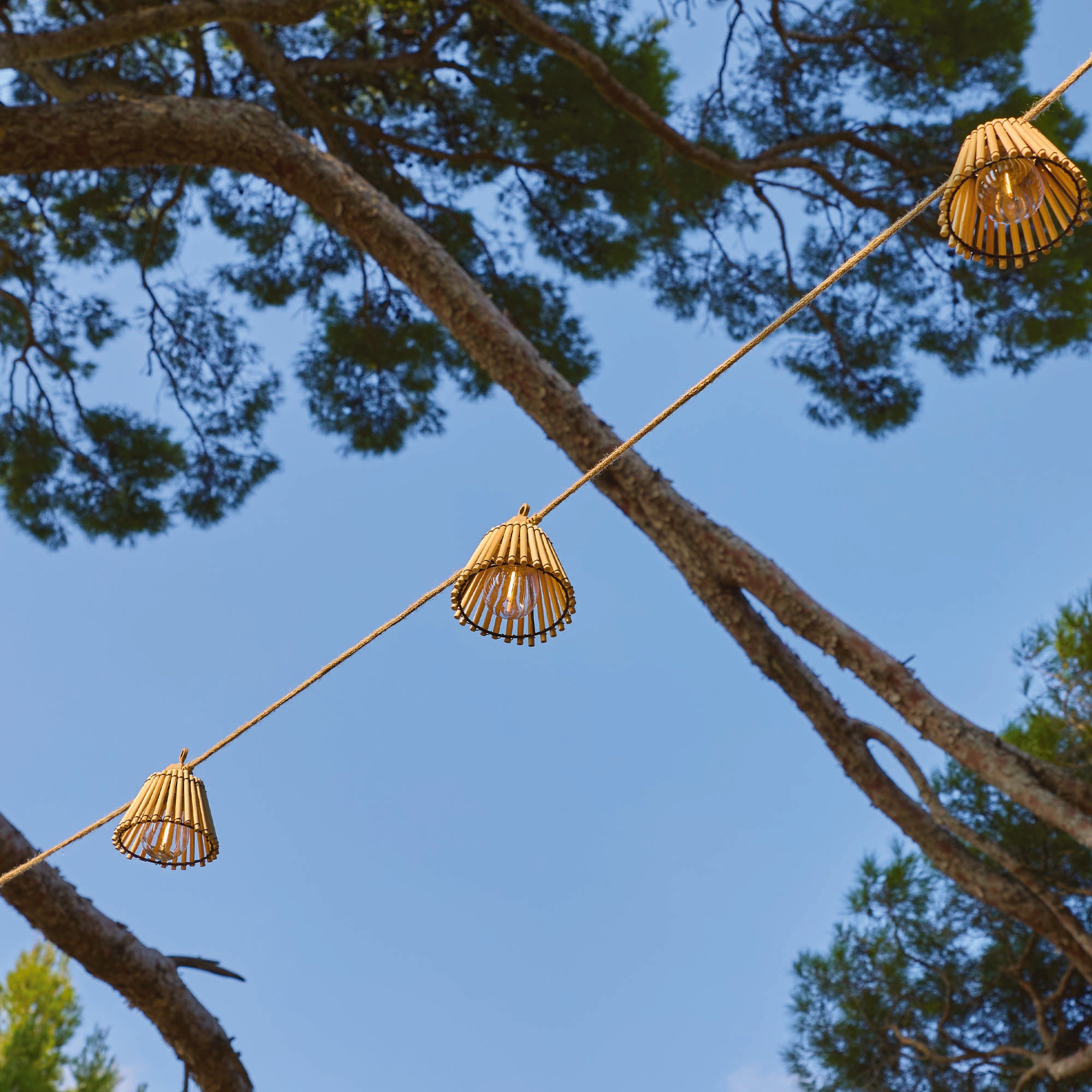 Guirlande solaire NATURA 10 LED 8M
