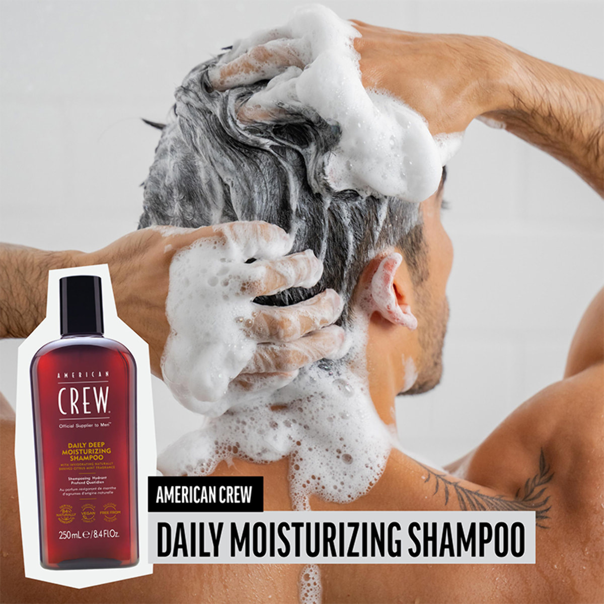 AMERICAN CREW Kit Daily Moisturizing Shampoo 250ml + Conditioner 250ml