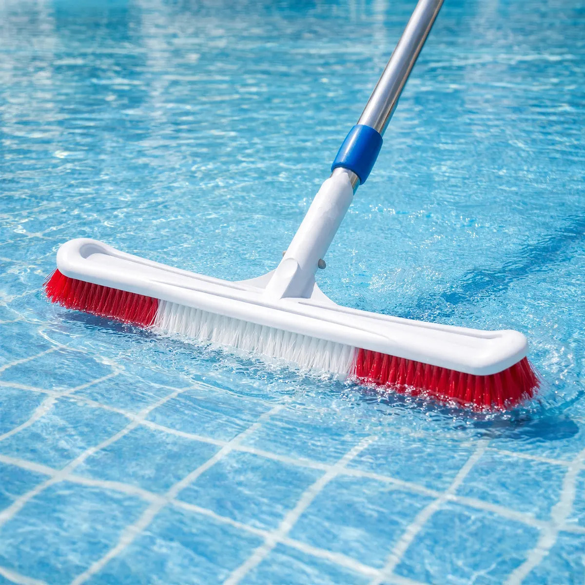 Brosse plastique pour murs et fond piscine 50 cm