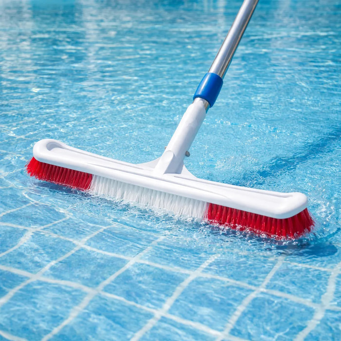 Brosse plastique pour murs et fond piscine 50 cm
