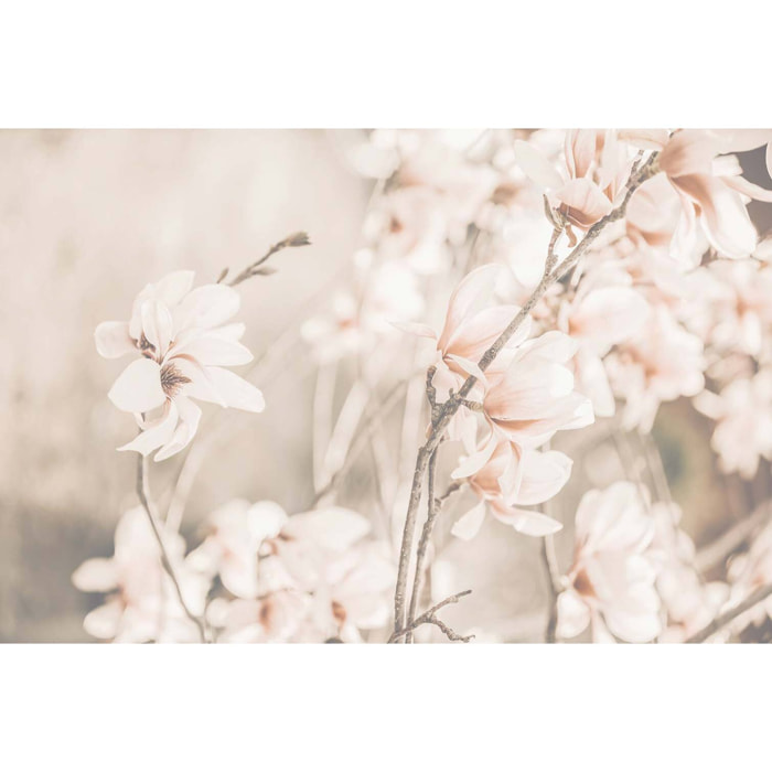 Tableau de fleurs douceur et fleurs printanières  Tableau alu Dibond