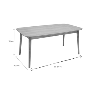 Table extensible rallonges intégrées rectangulaire en bois clair chêne L160-210 cm ANK