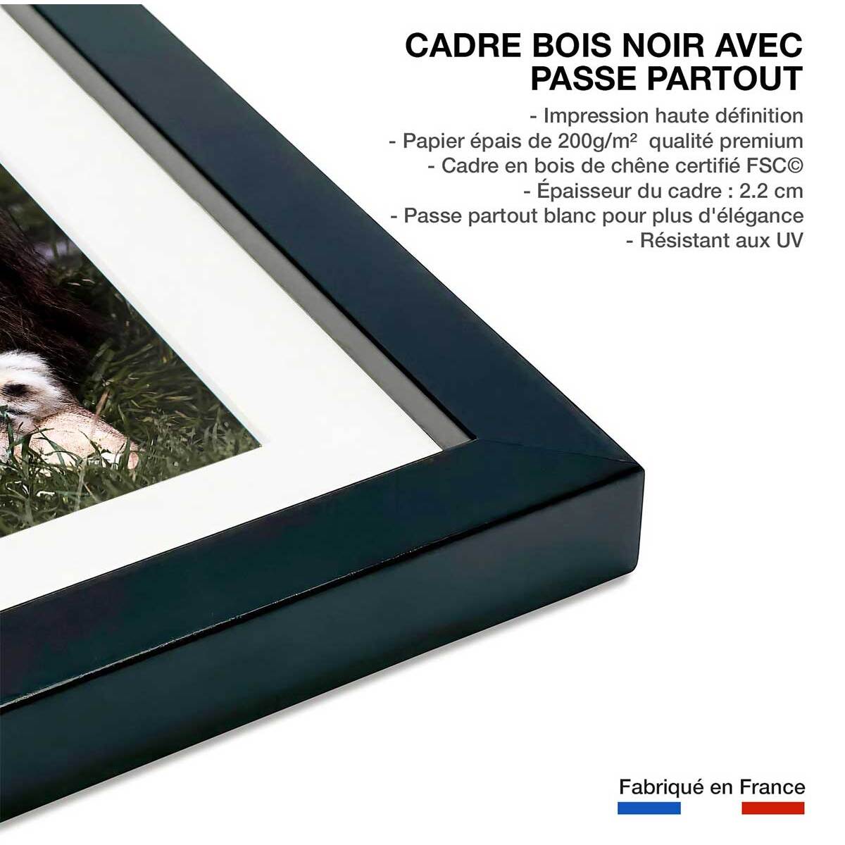Affiche animaux pattes de lion Affiche + cadre en bois - Noir