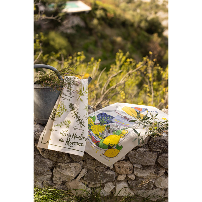 Torchon les herbes de Provence